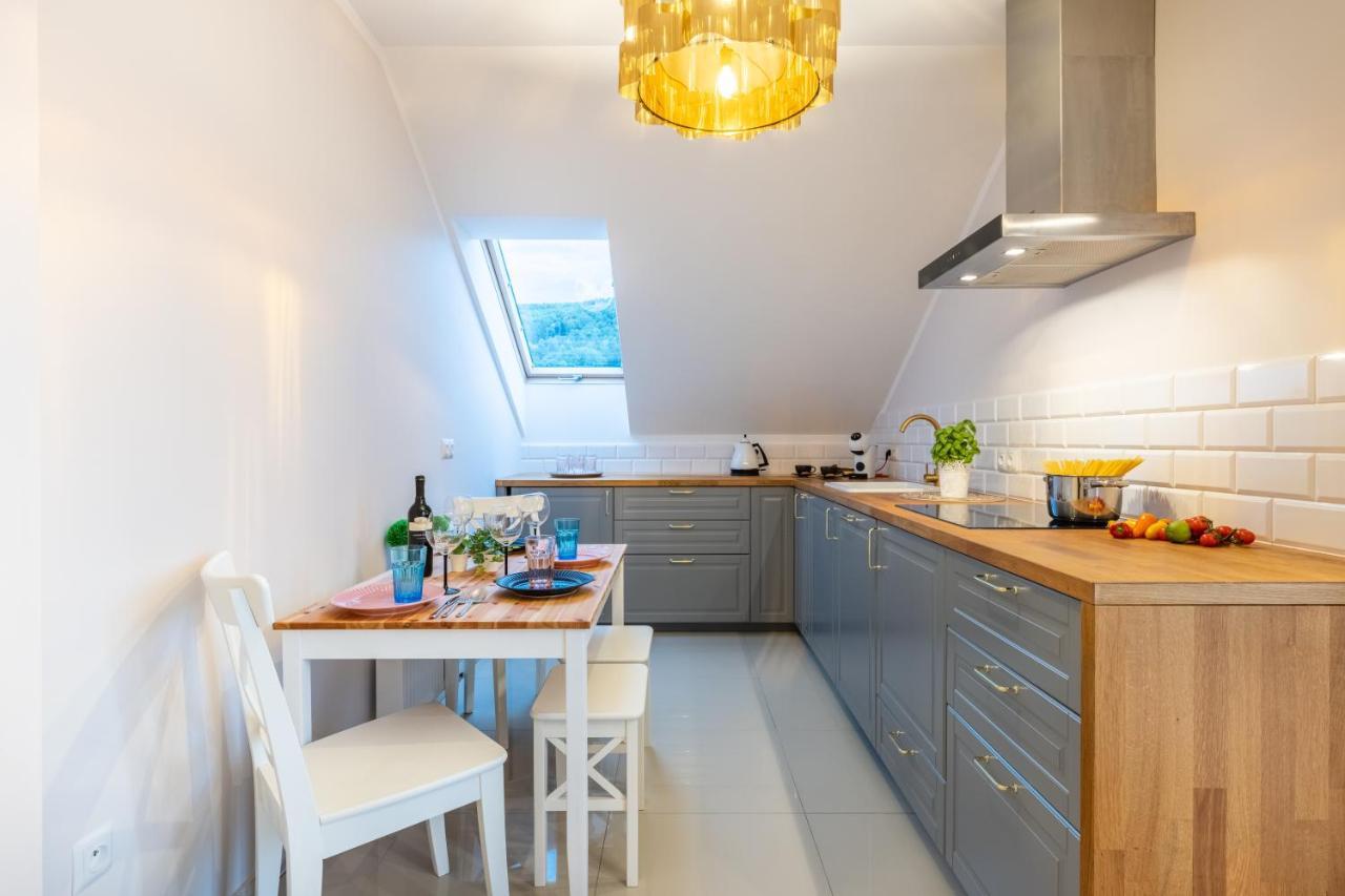 Apartament Kasztelan II Ustrzyki Dolne Εξωτερικό φωτογραφία